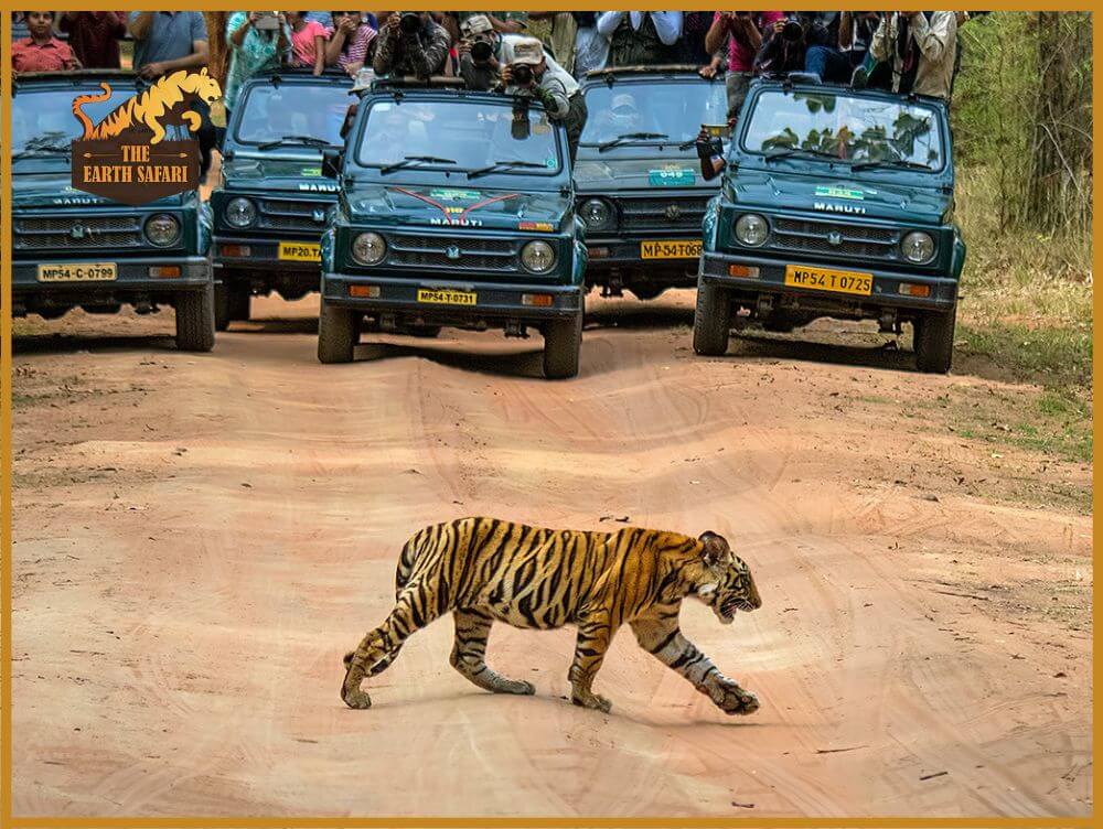 Bandhavgarh
